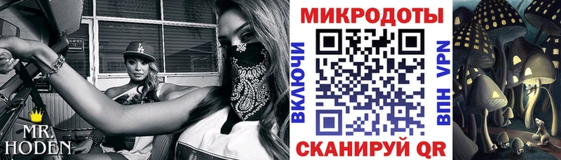 как найти закладки  Снежинск  ОМГ ОМГ зеркало  Галлюциногенные грибы Psilocybine cubensis 